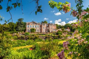 Photo 12- click for photo gallery